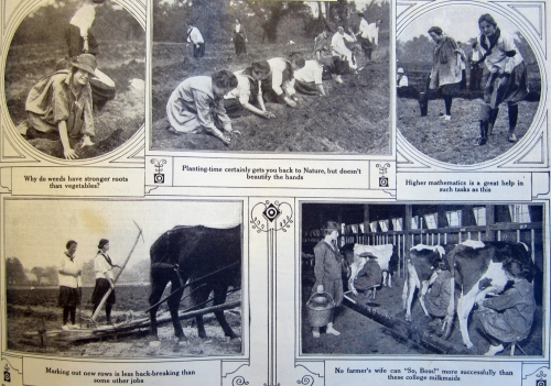 Lower half of the page. Vassar Girls Doing Farm Work, 1918